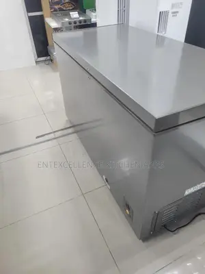 Hisense 420l Freezer 55dd Fc