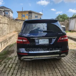 Mercedes-Benz M Class 2014 Blue