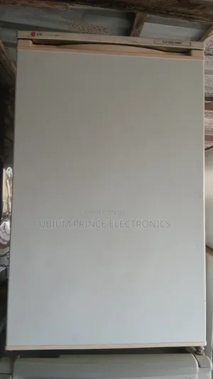Lg Table Top Freezer
