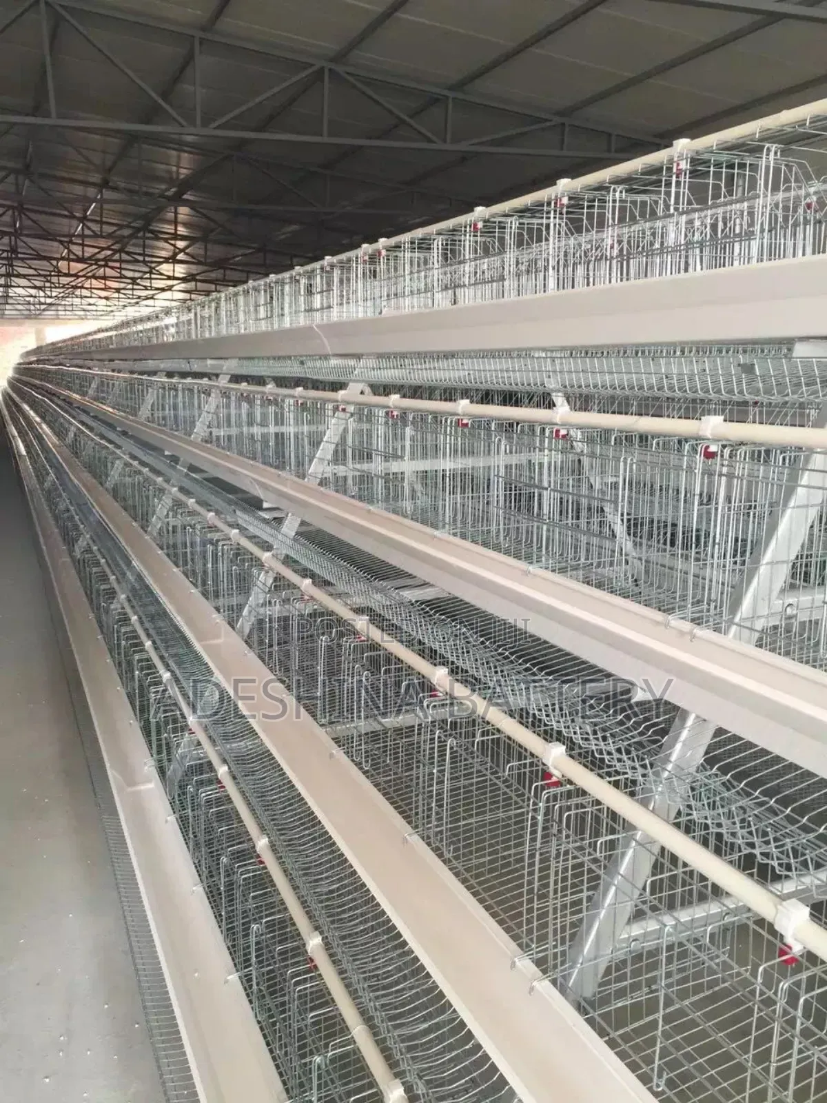 Imported Cages