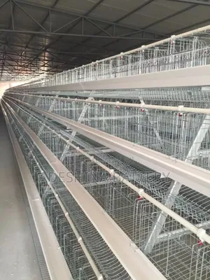 Imported Cages