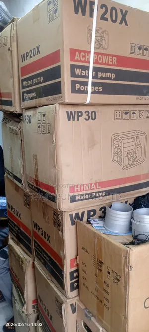 Fuel Water Pump