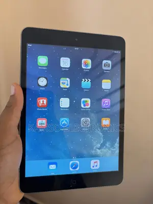 Apple iPad mini 2 16 GB Gray