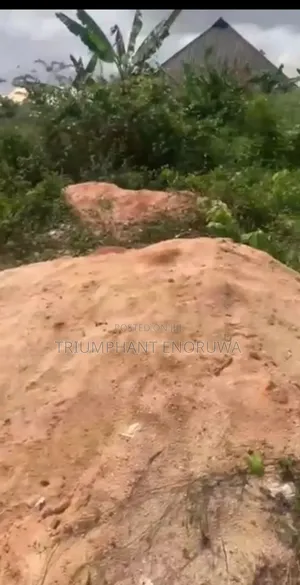 Cheap 50x100 Land at Okhun Community – ₦4m(1000 Blocks + Sand on Site)