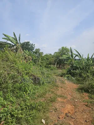 Commercial Industrial and Farm Estate Land