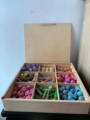 Wood Sorting Toy