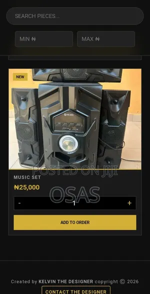 Professional E-commerce Website Online Store Setup