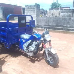 New Tricycle 2025 Blue