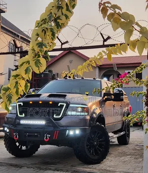Ford F-150 2025 Gray