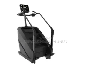 Bf2001c Industrial Heavy Duty Commercial Stairs Master/Stairs Climber
