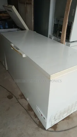 Extra Large Deep Freezer
