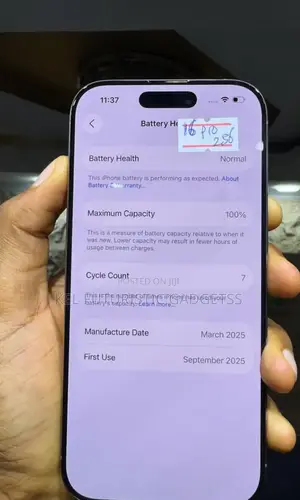 Apple iPhone 16 Pro 256 GB Gold