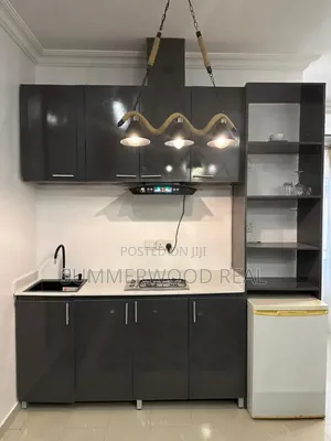 Furnished Mini Flat in Lekki Phase 1 for rent
