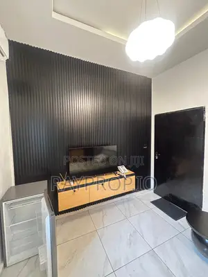 Nicely Furnished Studio Shortlet in Victoria Island