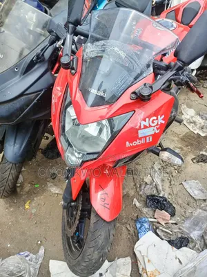 Kawasaki Ninja 300 2014 Red