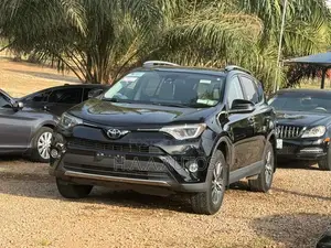 Toyota RAV4 XLE AWD (2.5L 4cyl 6A) 2017 Silver