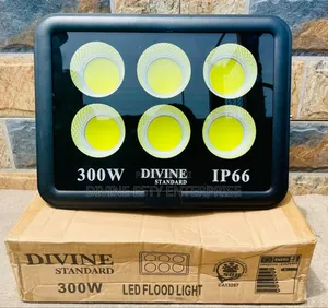 Divine Standard 300w Led Flood Light