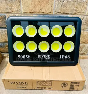 Divine Standard 500w Led Flood Lights