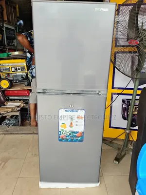 Skyrun Standing Fridge Half Fridge Half Freezer