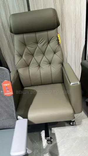 Executive Ergonomic Office Chair