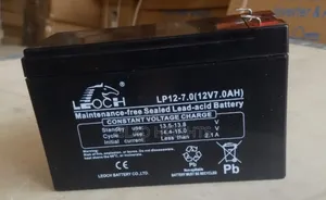 Leoch Ups Battery