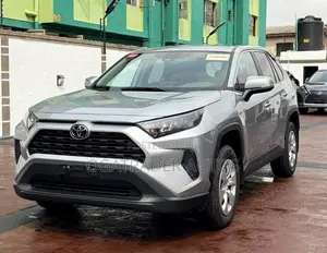 Toyota RAV4 LE AWD 2024 Silver