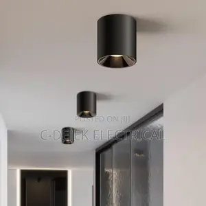 Light and Fittings