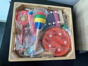 Early Education Music Instrument