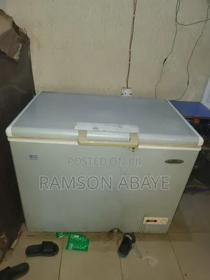 Thermocol HTF-319h Freezer for Sale
