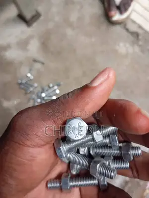 Fastener Bolt and Nut Ss M8x40mm