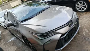 Toyota Corolla 2023 Gray