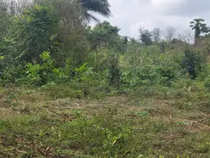 10plots Of Land For Sale At Alako Ido, Ibadan, Oyo State