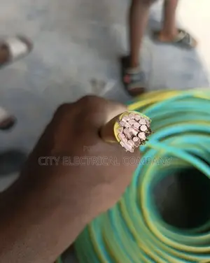 70mmx1core Nigerchin Act Wire Green And Yellow
