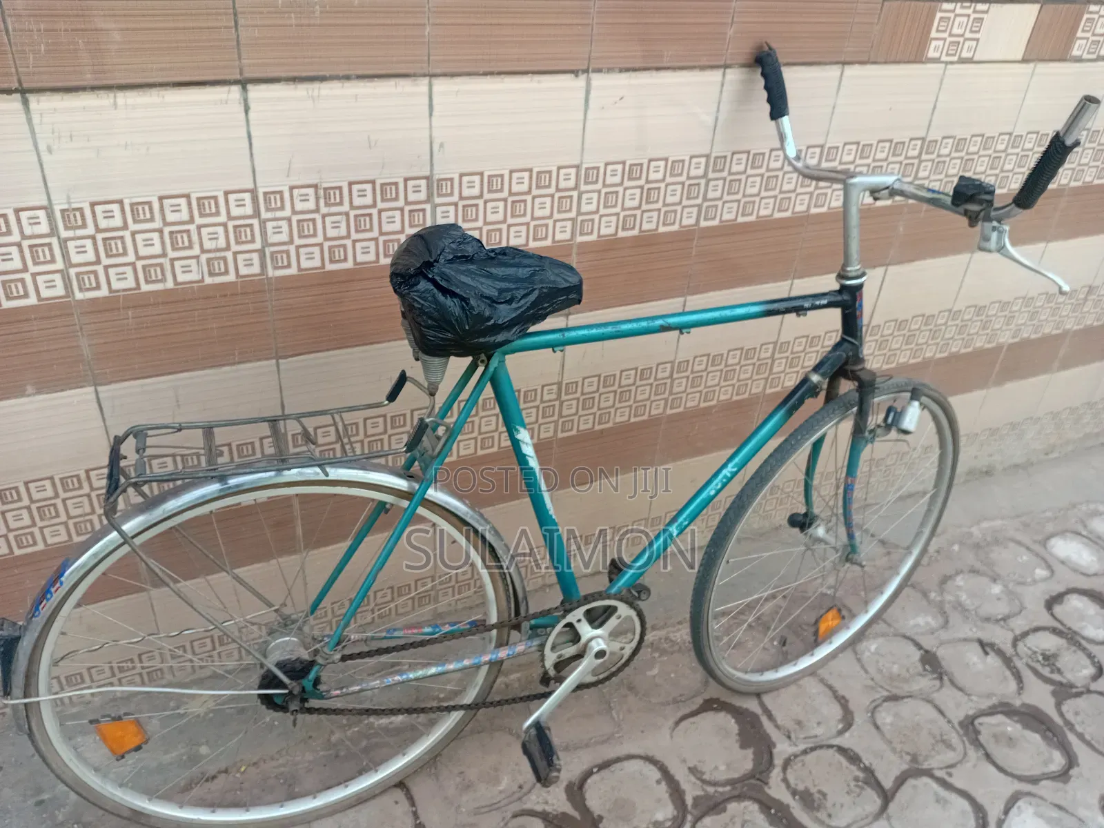 Adult Bicycle