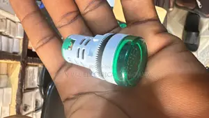 Digital Pilot Lamp (Indicator Light)