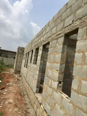 Building Construction/Project Manager