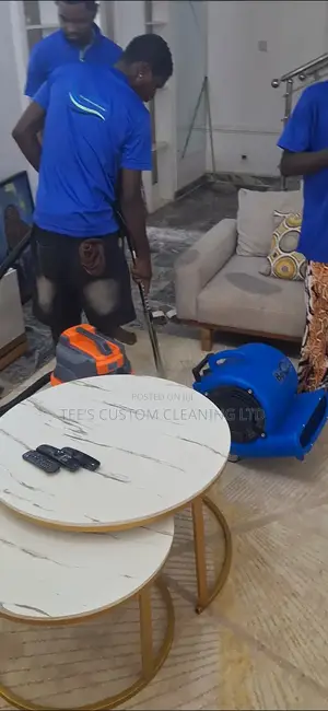 Professional Cleaning And Fumigation Services