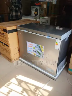 Snowsea 308g Chest Freezer Big Capacity
