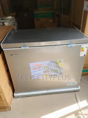 Snowsea Bd308g Freezer With Lock Feature