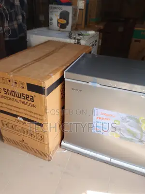 Snowsea Bd-308g Freezer for Home Shop