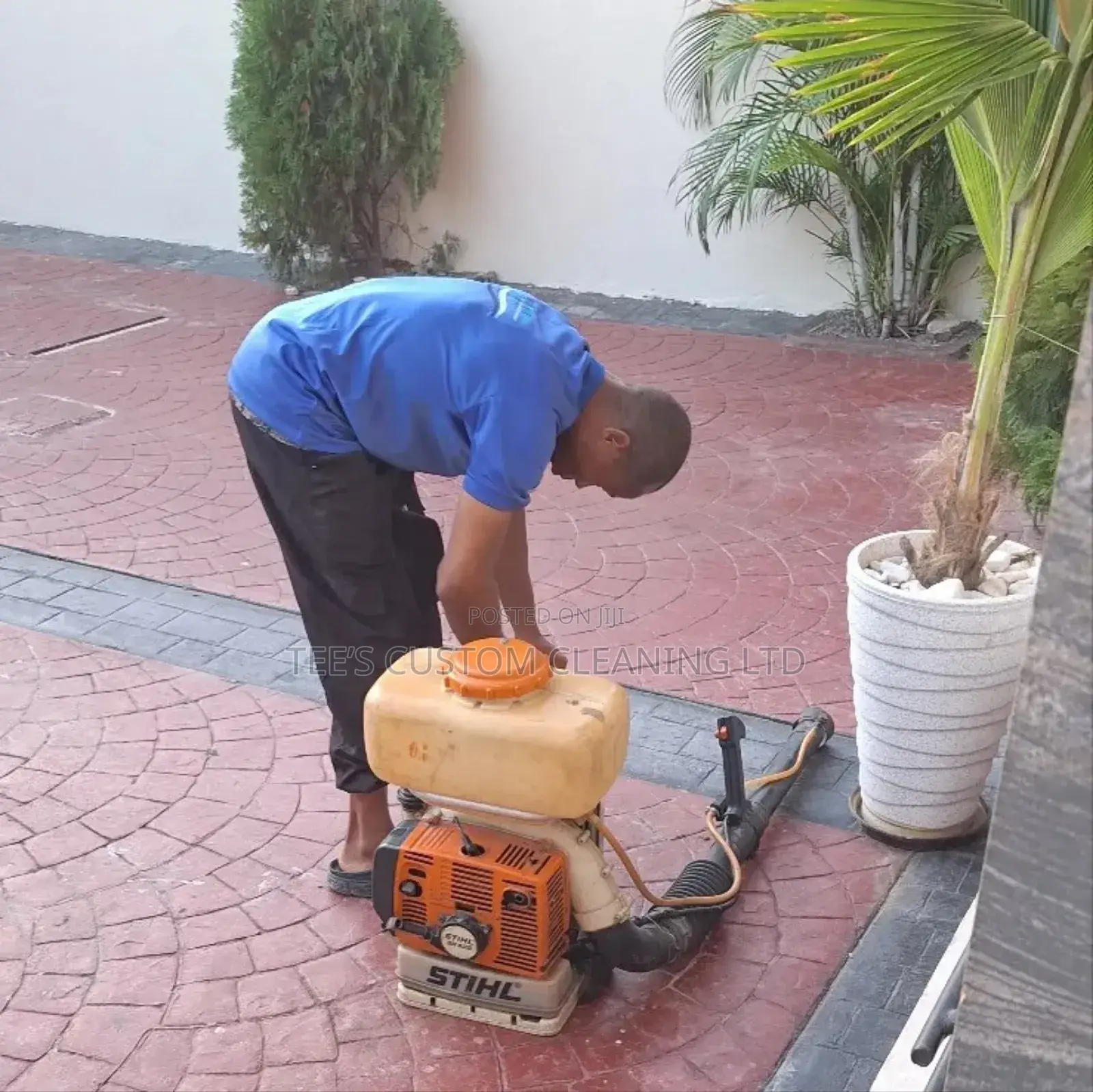 Fumigation and Pest Control Solution