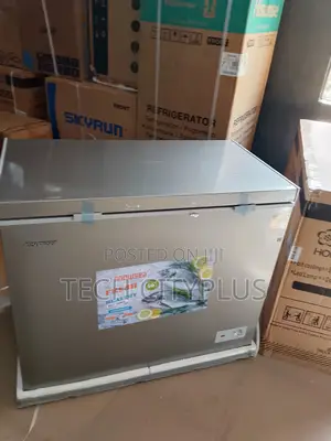 Snowsea Bd308g Freezer for Business Use