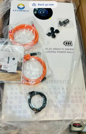Lvtopsun Lithium Ion Battery 15kwh 51.2300ah 10years Warranty