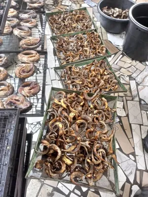 Dried Cat Fish and Deboned Palan at Kamsoul
