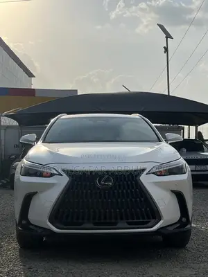 Lexus NX 250 2024 White