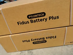 16kw Pylon Tech Lithium Batteries