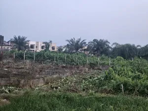 Land in Decent Estate Arepo