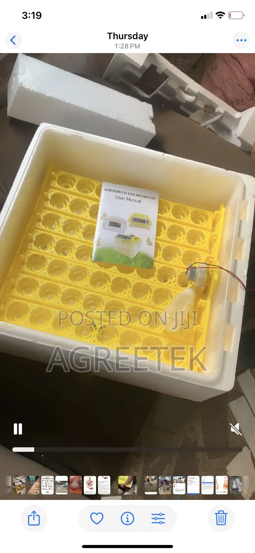 Egg Incubator
