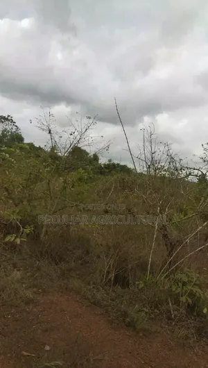 1 Acre Land