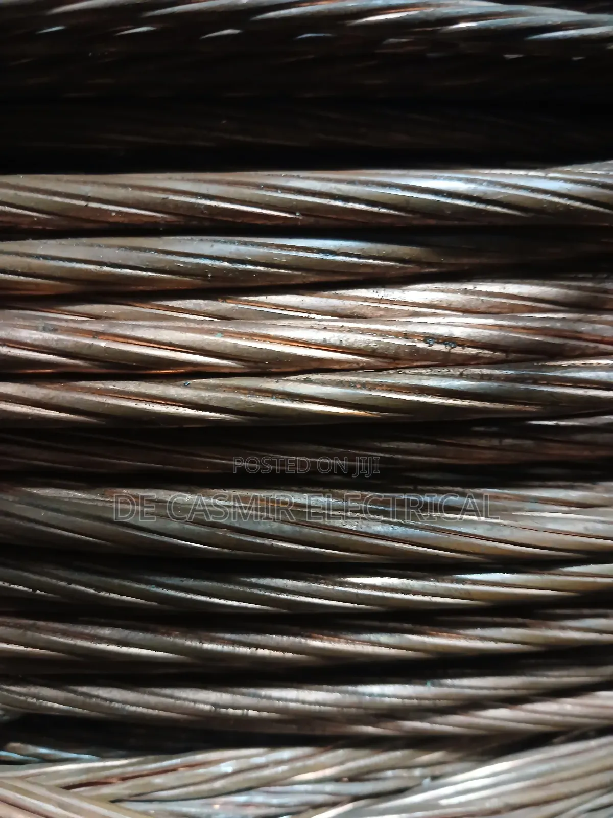1x50mm2 Bear Copper